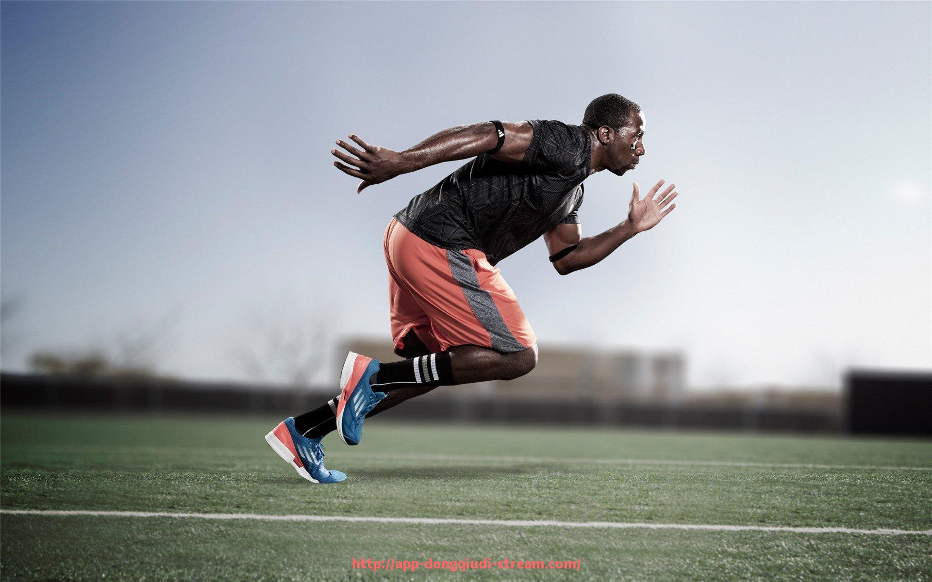 懂球帝直播-休斯顿火箭队球员名人堂成员及历史贡献介绍